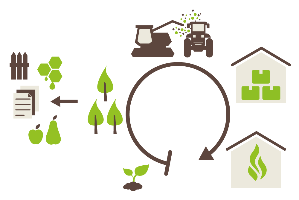 Agroforst-Infografik