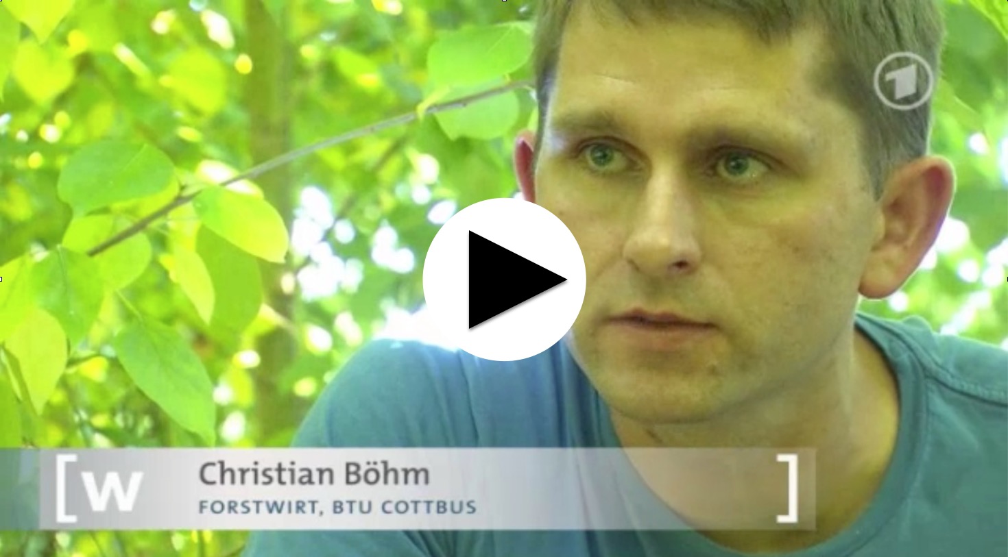 Link zum Videobeitrag des Bayrischen Rundfunks von 2013