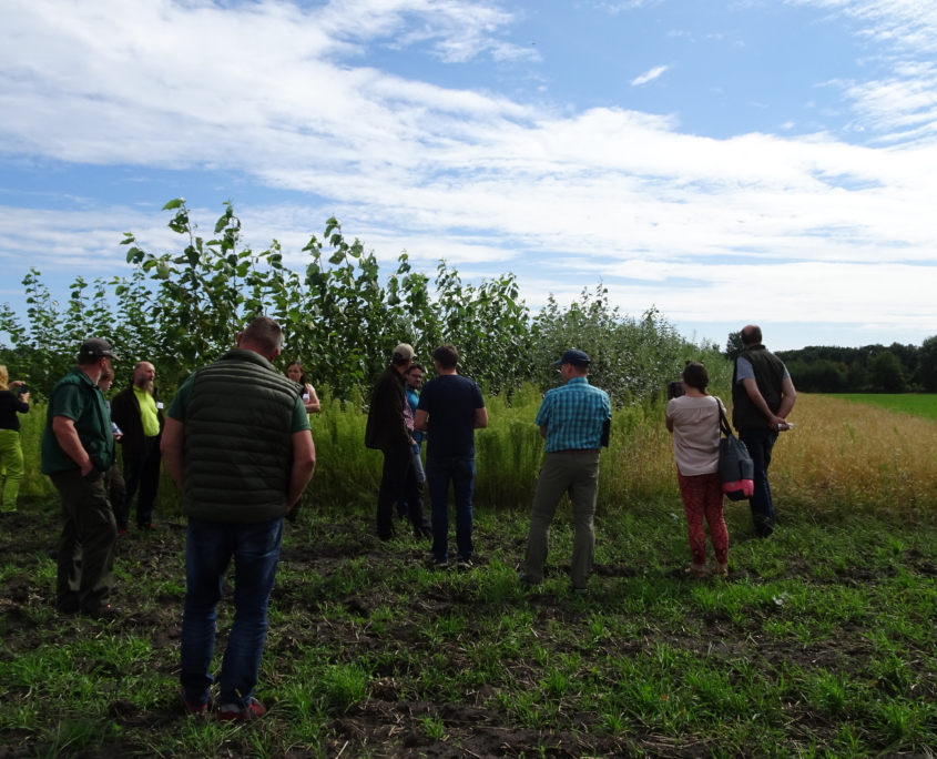 Wer Ist Für Bäume Auf Pachtland Verantwortlich agroforst-info.de