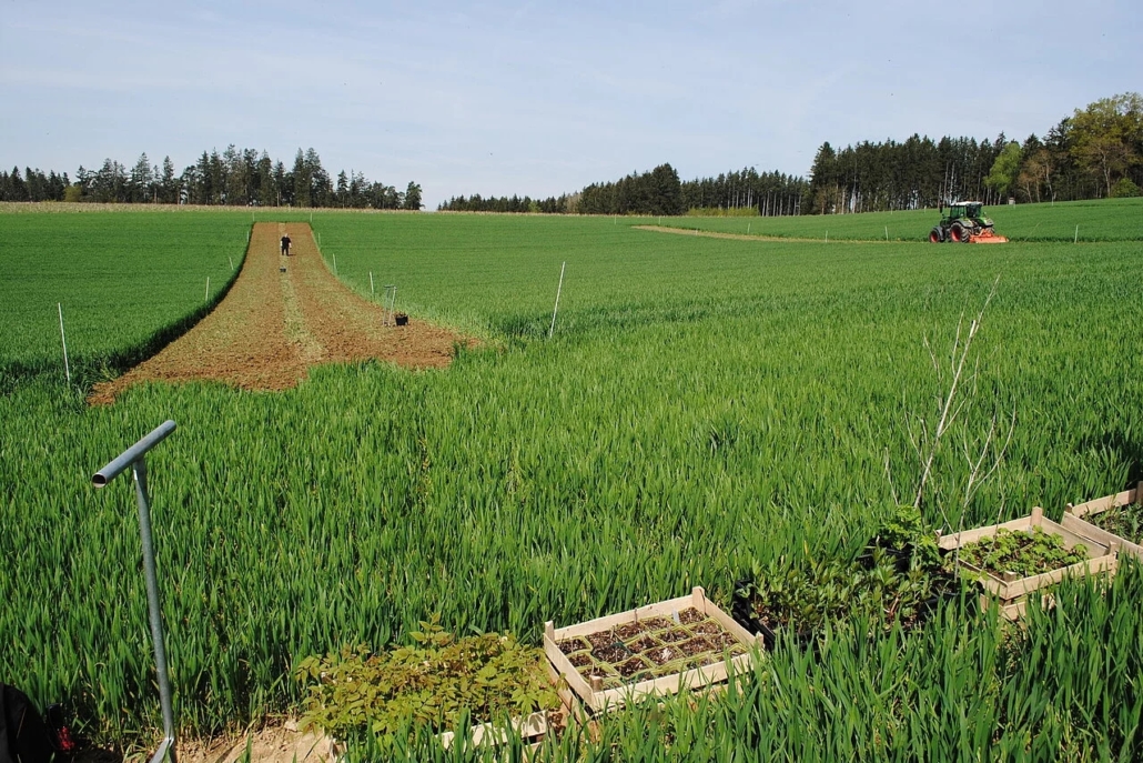 Bodenvorbereitung in der Agroforstversuchsfläche