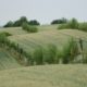 Agroforst Lehr- und Versuchsbetrieb Gladbacher Hof in Villmar