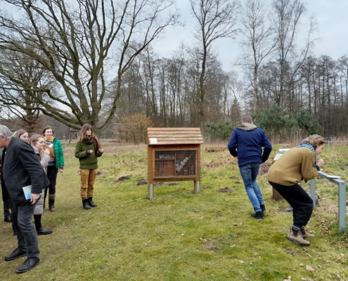 Workshop-Teilnehmende bei einem Laufspiel zum Pollentransport von Bestäubern