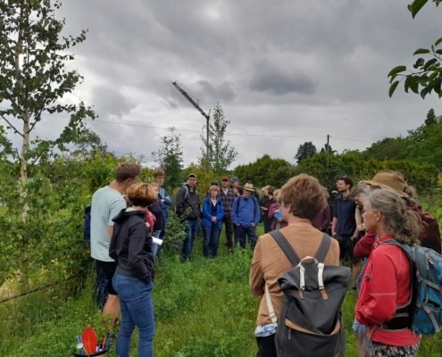 Agroforst Hofgut Oberfeld