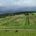 Agroforst Hofgut Oberfeld