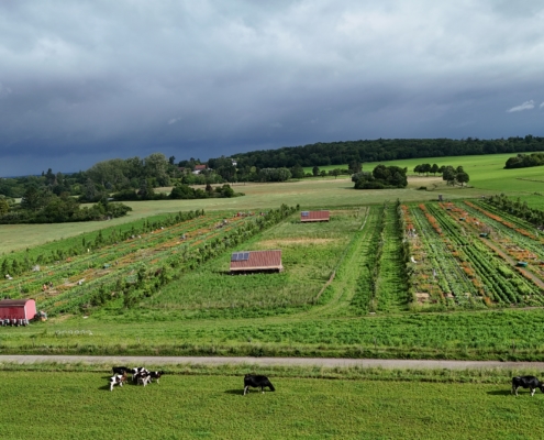 Agroforst Hofgut Oberfeld