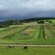 Agroforst Hofgut Oberfeld