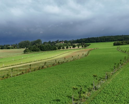 Agroforst Hofgut Oberfeld