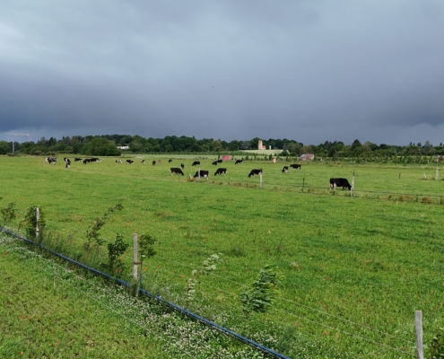 Agroforst Hofgut Oberfeld