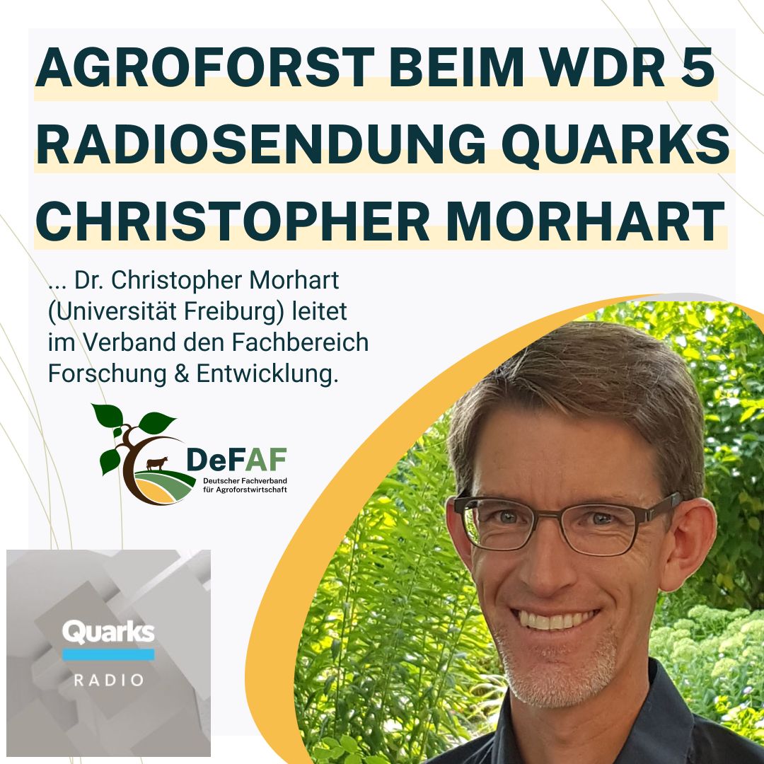 Quarks-Radio-Christopher-Morhart