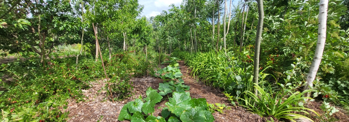 Michelberger Farm bei Vetschau, Brandenburg