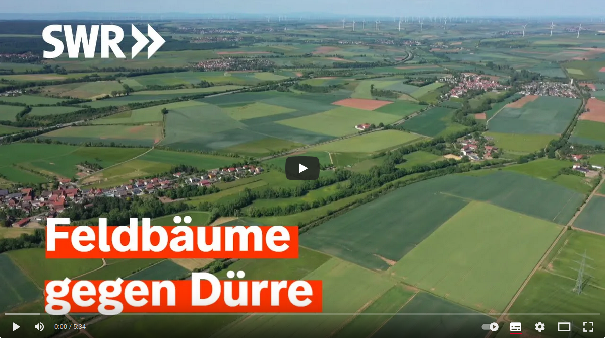 SWR: FeldbaeumeGegenDuerre