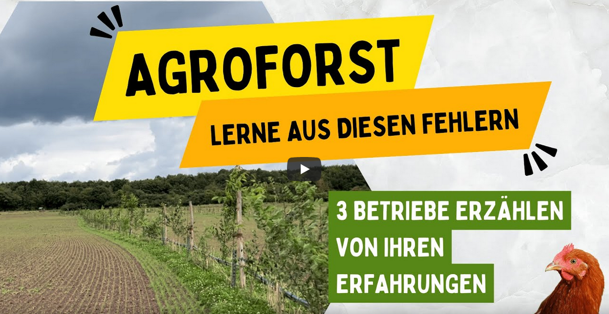 Lerne aus Diesen Fehlern