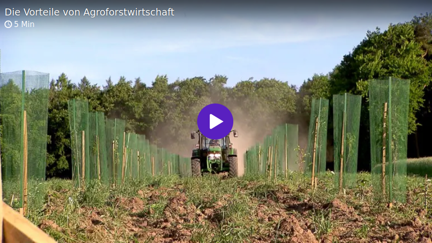 Vorteile der AGF
