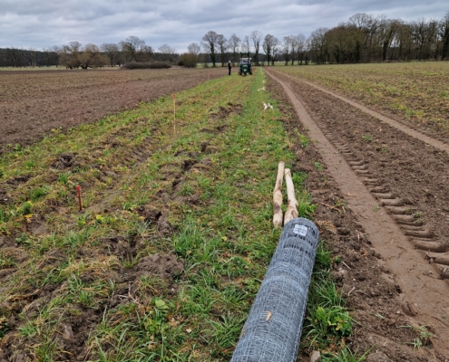 Pflanzung April 2025: Sichtbare Spur der Tiefenlockerung und bereitliegender Zaun für den Baumschutz