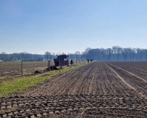 Pflanzung April 2025: Blick vom Acker auf die Agroforst-Baustelle.