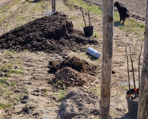 Pflanzung April 2025: Pflanzlöcher, Holzpfähle und Kompost auf dem Agroforst-Streifen