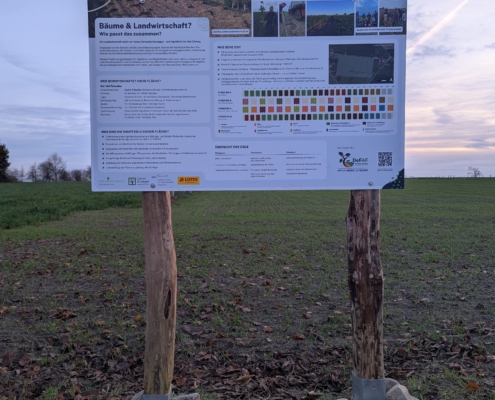 20251113_Feldtag_ModellflächeBandau_cAndiLinder