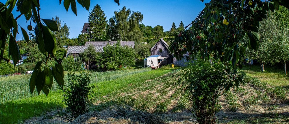 2025_RG Sachsen Treffen_Foto 0