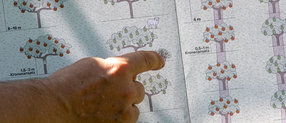 2025_RG Sachsen Treffen_Foto 3