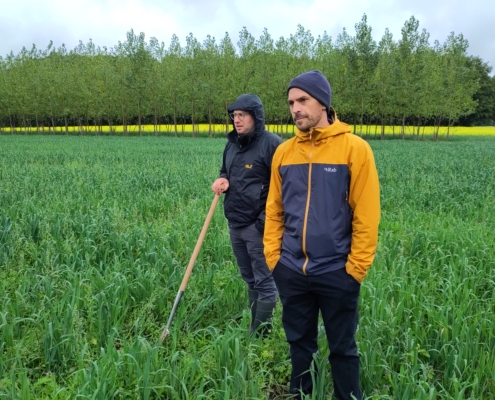 Landwirt Sebastian Frey (gelbe Jacke) auf Acker mit Baumstreifen