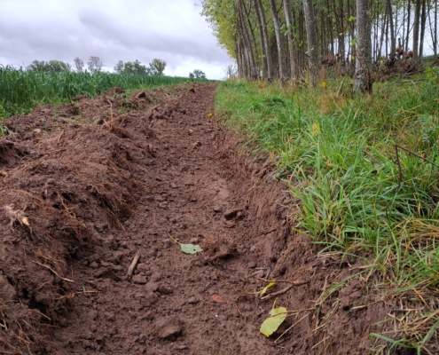 jährlicher Wurzelschnitt am Gehölzstreifen durch pflügen