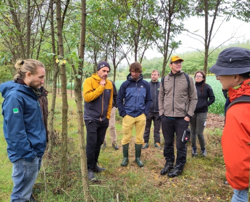Sebastian Frey (gelbe Jacke) im fünfjährigen Robinienstreifen - Hintergrund Pappelstreifen