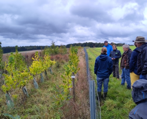 20250922_FTSWM_Frey_(c)HumusKlimaNetz (70)