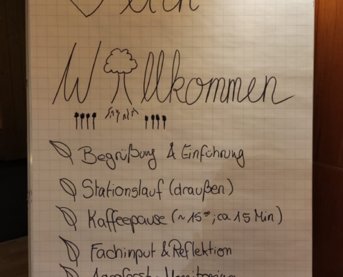 WhatsApp Image 2026-01-24 at 16.58.39