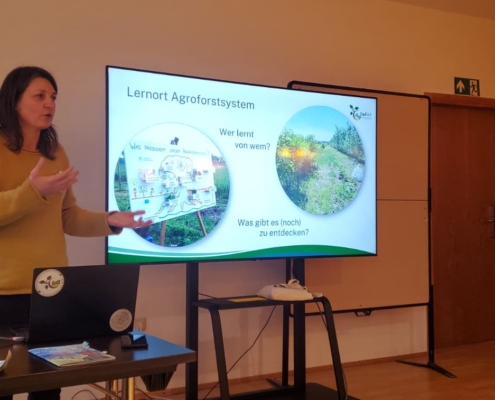 WhatsApp Image 2026-01-25 at 13.16.13