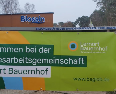 WhatsApp Image 2026-01-25 at 13.17.23