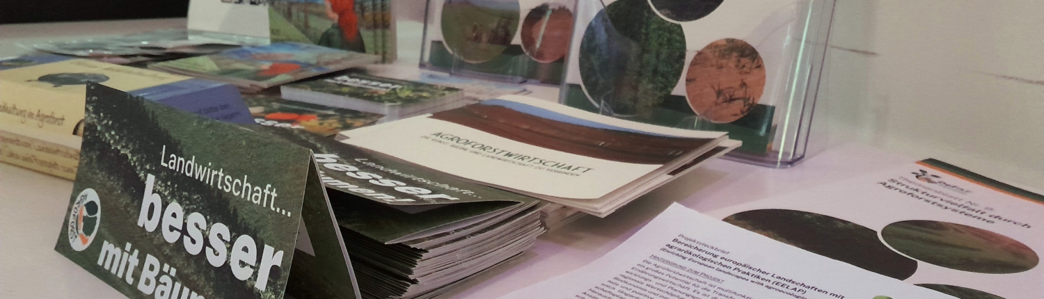 Agroforst als wichtiger Baustein für nachhaltige regionale Versorgung