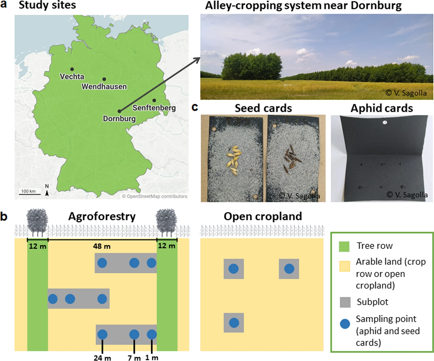 Studiendesign-Klartext-Forschung-5 https://link.springer.com/article/10.1007/s10457-025-01174-z