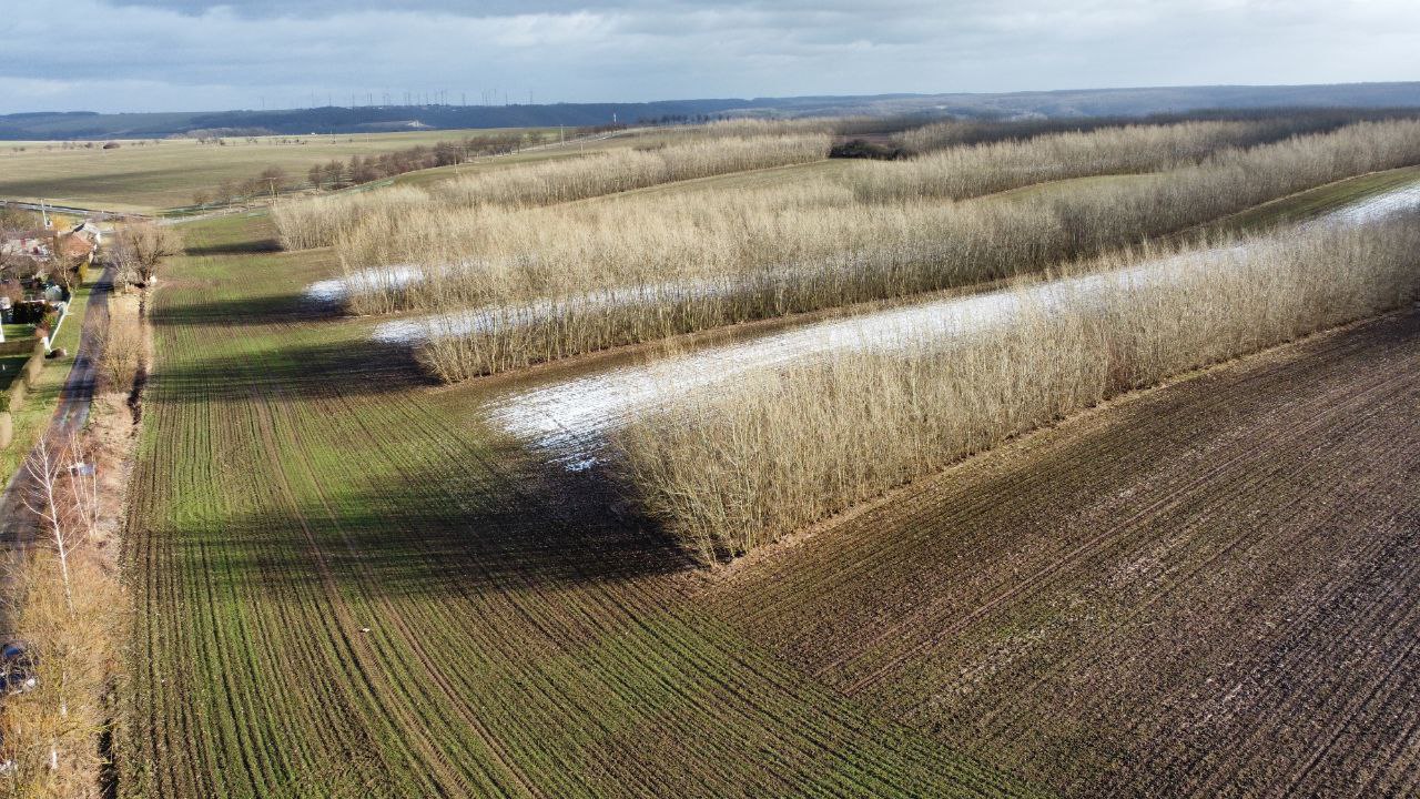 photo_2024-01-31_09-17-33