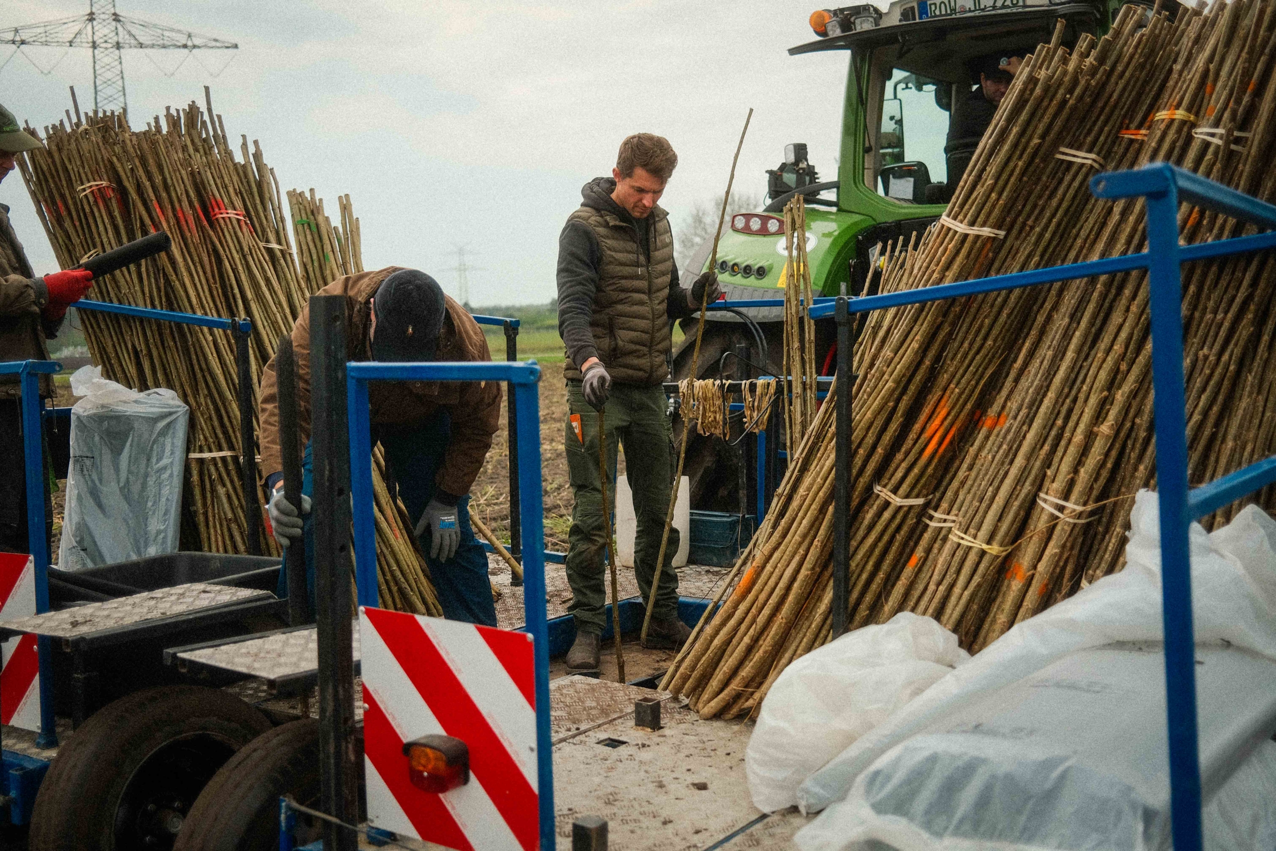 Lignovis GmbH-Experte Ken Dohrmann bei der Pappelpflanzung