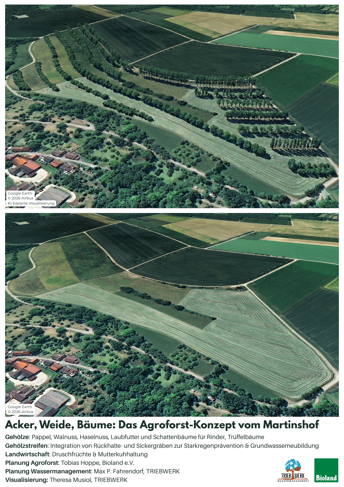 Bayer Visualisierung1 vorher-nachher