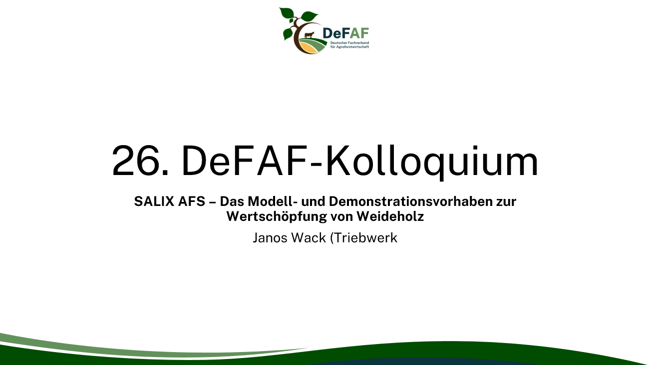 DeFAF-Kq_Vorlage_Titelfolie_neu